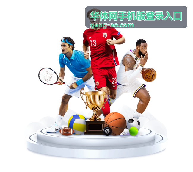 华体网手机版登录入口赛事加载异常排查示意图